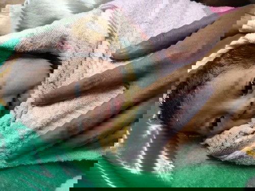 คลอดแล้วคะ 38+5