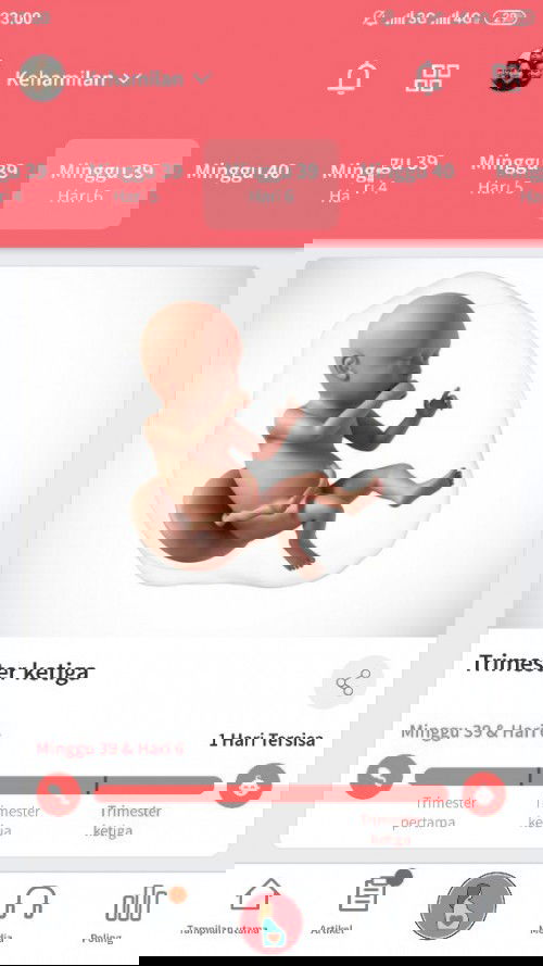 HPL besok,tp debay masih anteng