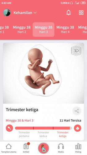 gelombang cinta