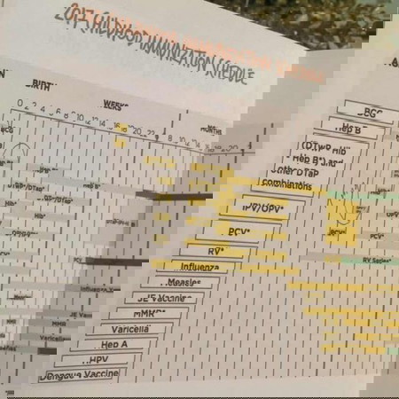 How do you ensure that your kids' vaccines are up-to-date and complete in the new normal?