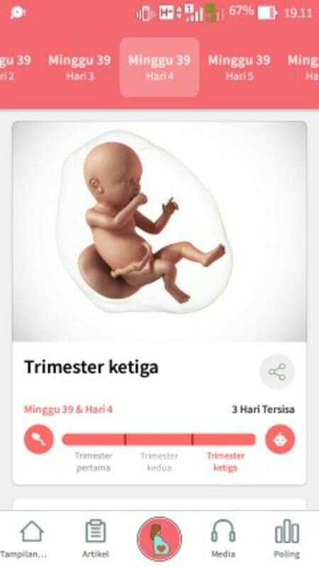 39week