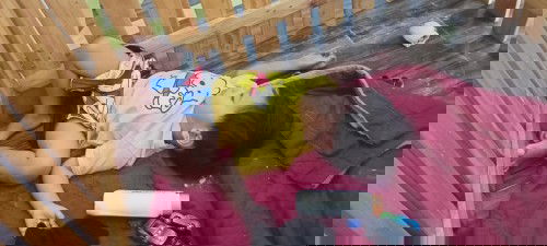 น้องพูดได้บ้างแล้วคะดีใจที่สุด