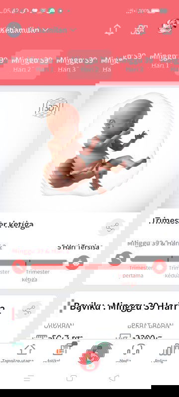 HPL januari awal 
Bun yg hpl nya januari awal udah ngerasain apa aja.