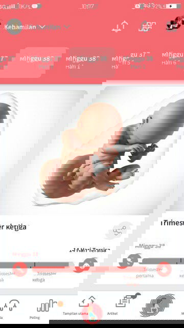 Nunggu gelombang cinta