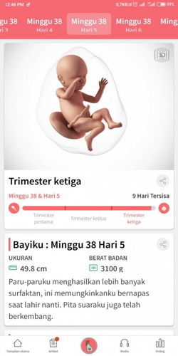 menanti datangnya gelombang cinta