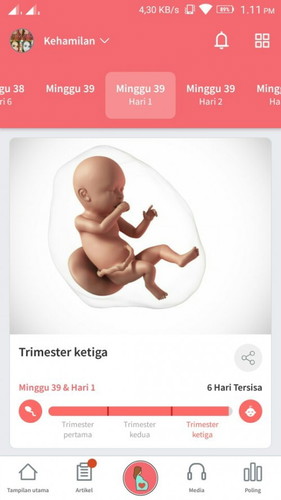 Terusmenunggu