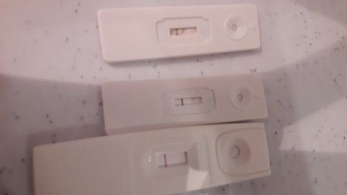 3 times pregnancy test same result