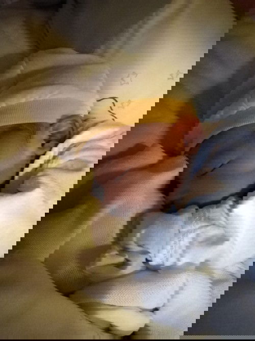 Meet my Baby 👶🏻💙