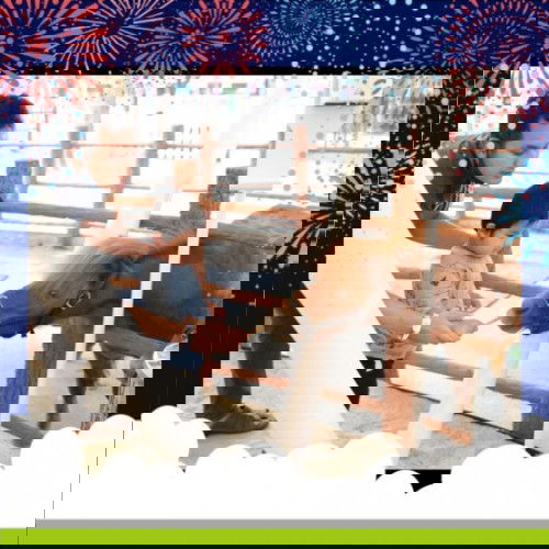 Berinteraksi Dengan Hewan, Ternyata Banyak Manfaat lho Bunda ☺️