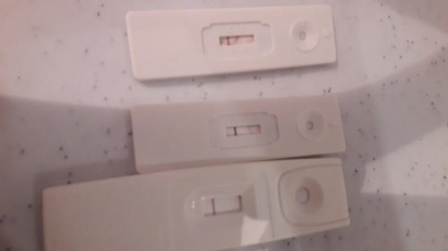 3 times pregnancy test same result one red and one white line