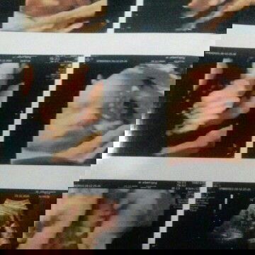 udah pasti belum ya ?