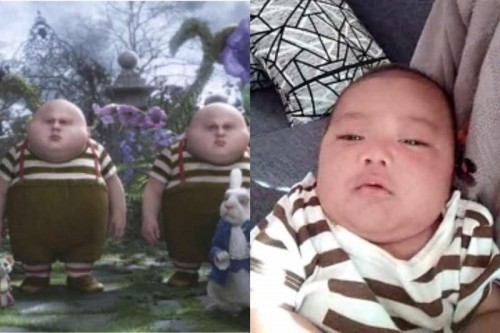 แฝด 3 แน่ๆ 😸😸