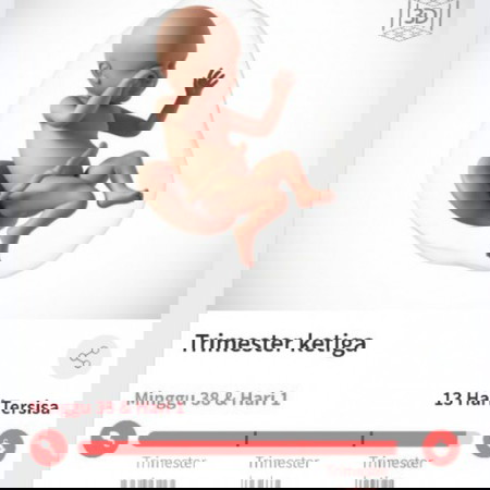 Menunggu gelombang cinta