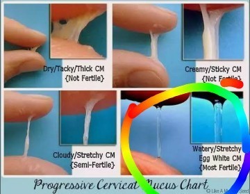 Trying to get pregnant