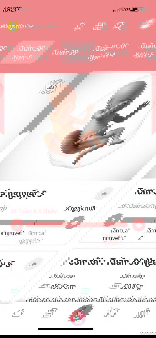 Đến giờ này vẫn chưa có 1 chút  dấu hiệu của 1 cơn đau đẻ,chỉ thấy lưng thì đau quá trời đau oy