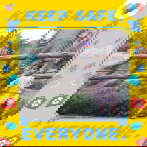 Keseruan Staycation sambil melihat hewan khas Afrika