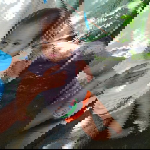 sufor atau tetep asi