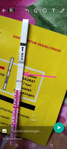 sagitafannyn@gmail.com
