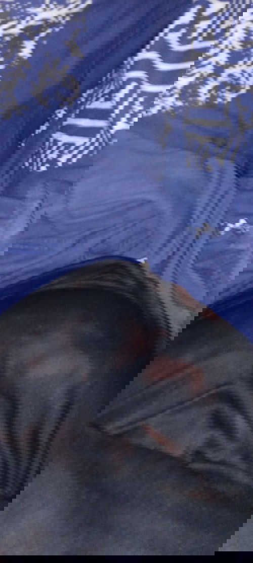 Hamil baru 16 mnggu blom ada gerakan apapun.perut masih aga kecil .mudah"an gk trjadi apapun ya bund