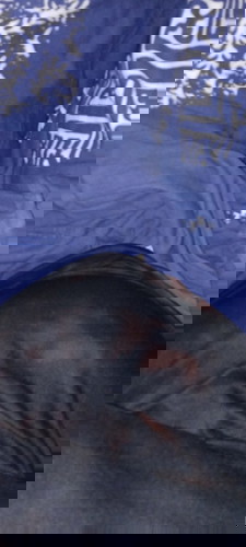 Hamil baru 16 mnggu blom ada gerakan apapun.perut masih aga kecil .mudah"an gk trjadi apapun ya bund