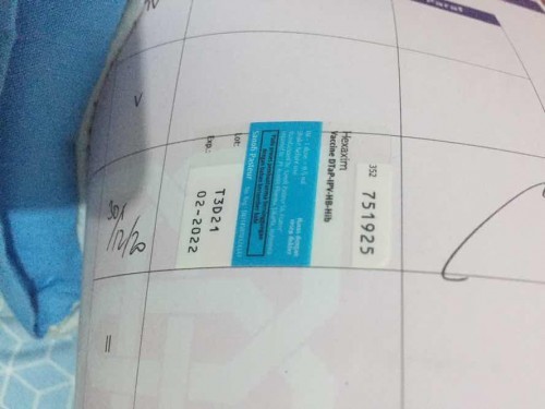 VAKSIN IMPORT BERSINGGUNGAN DG BABI