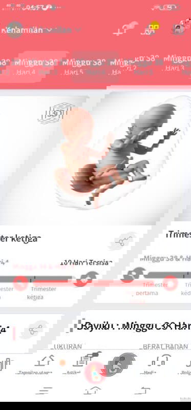 Menunggu gelombang cinta dr debay