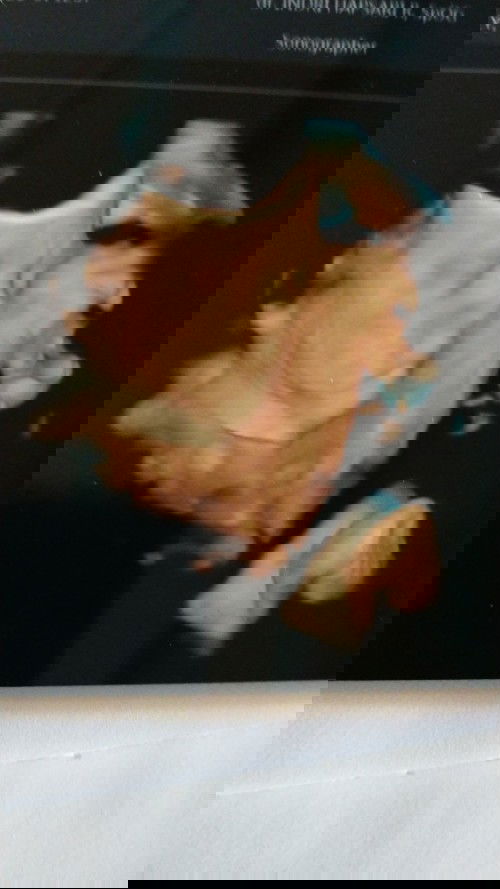 33weekk😘😘😘sehat selalu ya sayang 😘😘😘😘😍😍😍😍😍😍kakak2 mu udah gak sabar nggu kamu😍😍😍😍😍