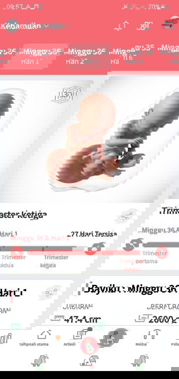 Anggota Keluarga Baru