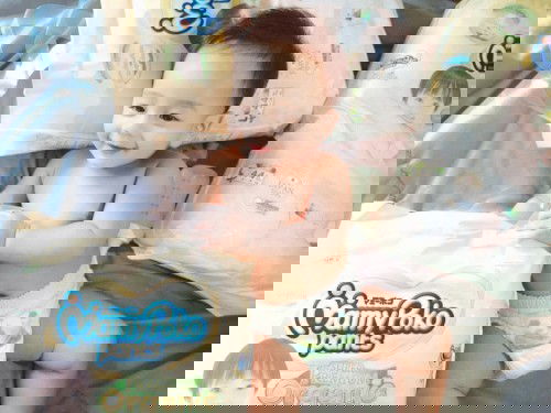 MamyPoko Super Premium Organic