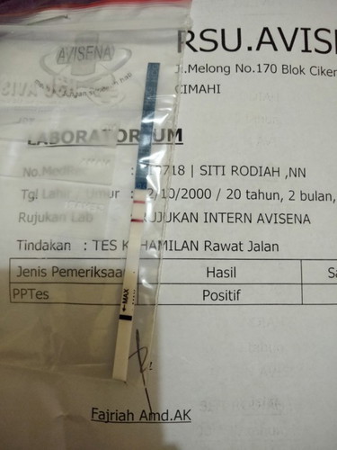 Test kehamilan