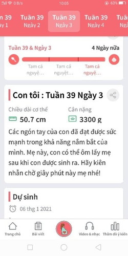 Gần 40 tuần