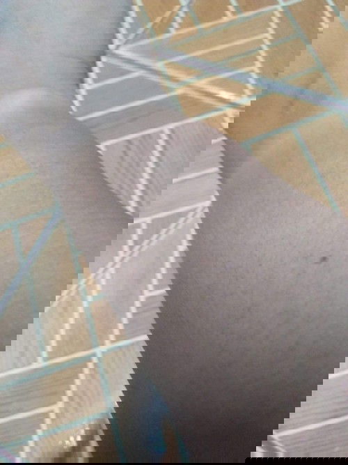 โดนแมวควน​ตอนเช้านี้