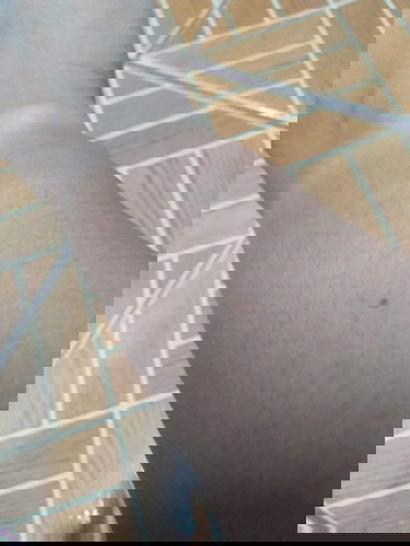 โดนแมวควนตอนเช้านี้