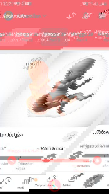 Hamil 39 minggu posisi perut masih tinggi