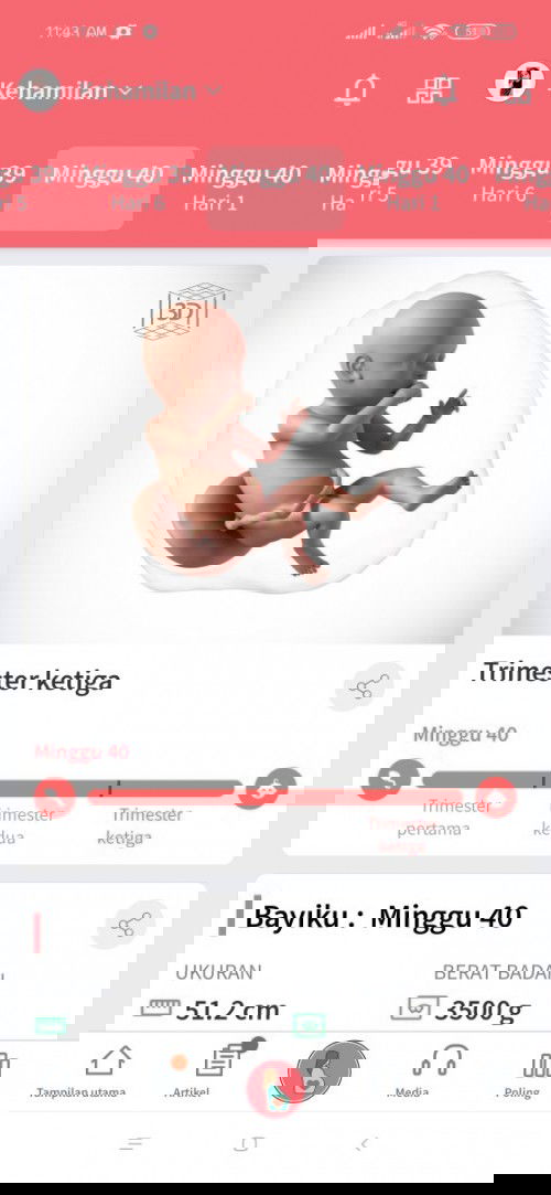 pas hpl belum ada tanda"