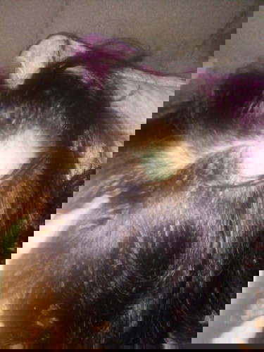 Poknat na palipat lipat