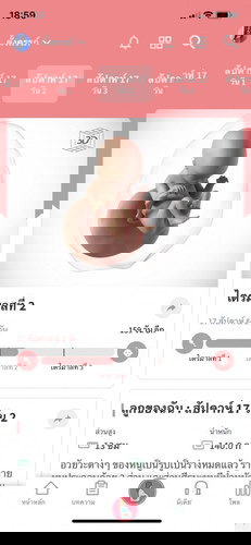 สามารถรู้เพศได้รึยังค่ะ