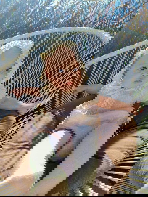 ลูกกินข้าวน้อย