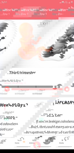 More pampalabor advice please ππ