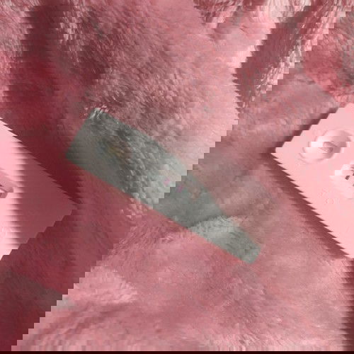 SAFE FOOD FOR PREGGY