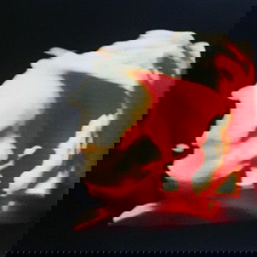 mengompol saat tidur