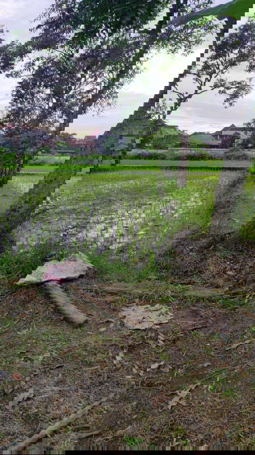 Diare saat mendekati persalinan