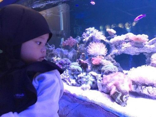 Liburan bareng si kecil