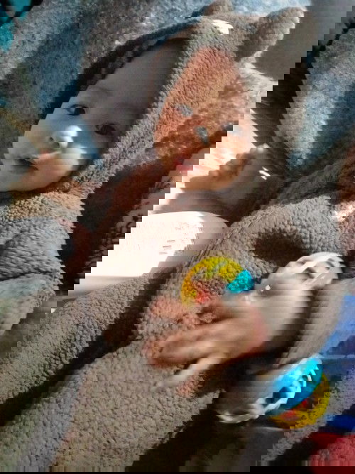 กินไข่แดงแล้วอ้วก