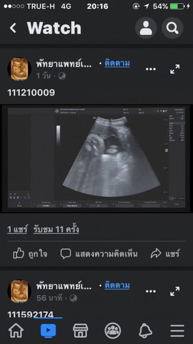 แบบนี้ญหรือชคะ