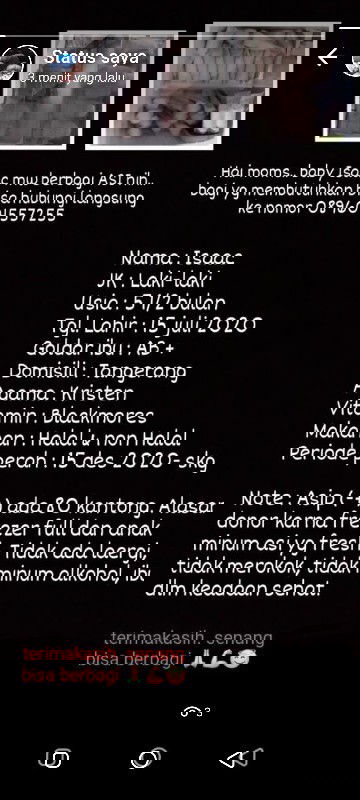 Donor ASIP bagi yg membutuhkan 🙏😇💪