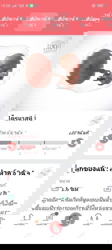 เจ้าตัวเล็ก