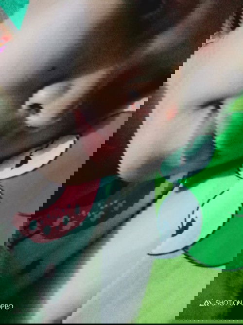 Hidung gak bisa tercium aroma apapun