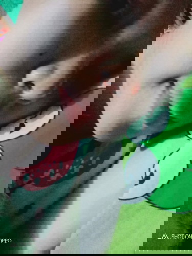 Hidung gak bisa tercium aroma apapun