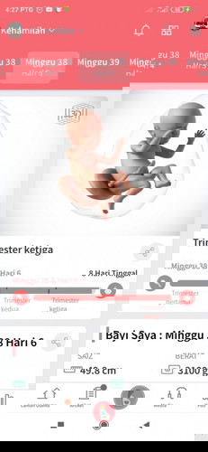 Ade sesiapa sama due date.?